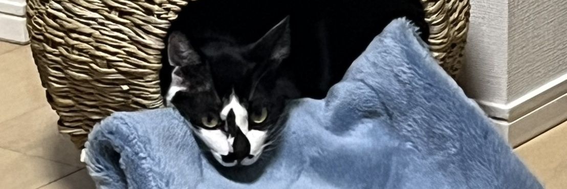 milktak's profile banner image