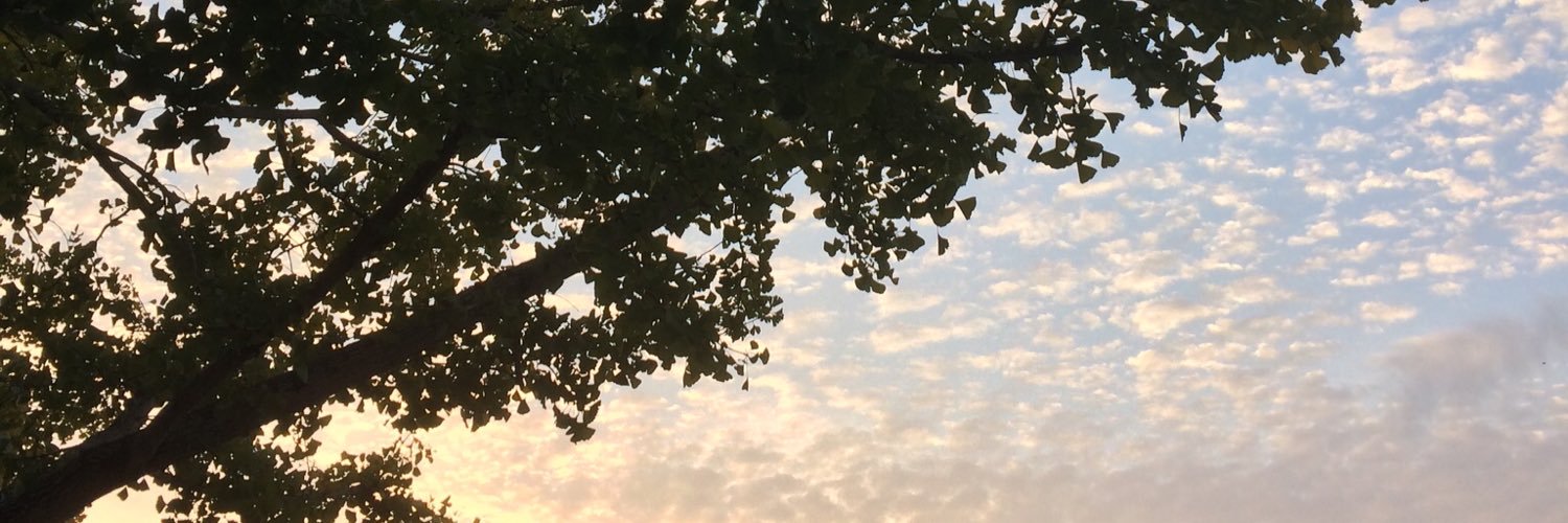 Ru86220a's profile banner image
