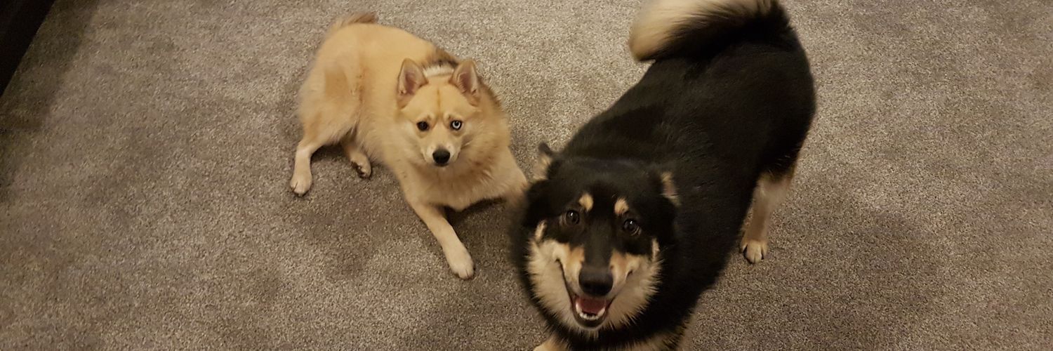 Andrew Christoforou banner