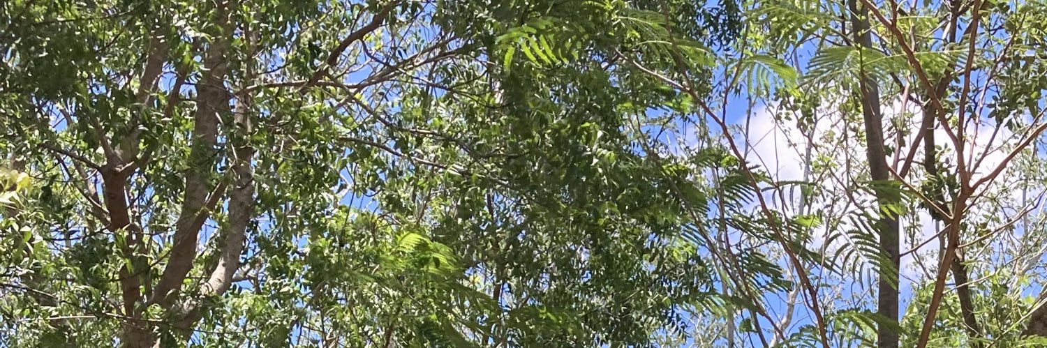 jessduranc's profile banner image