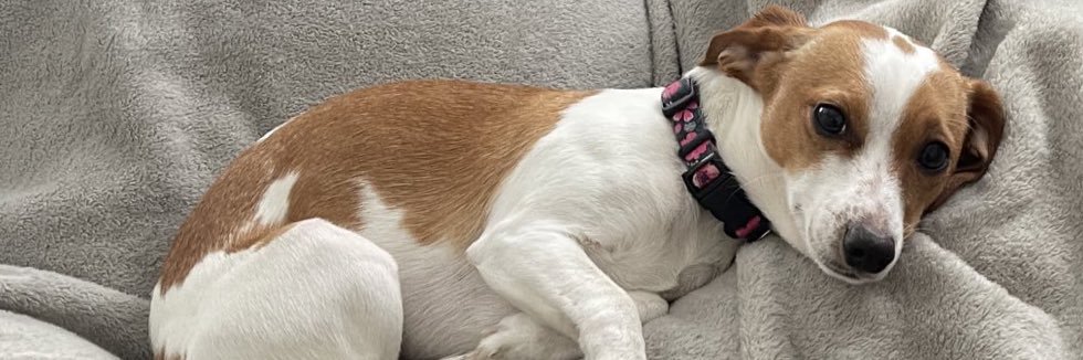 Pulmonary They/Thembolism banner