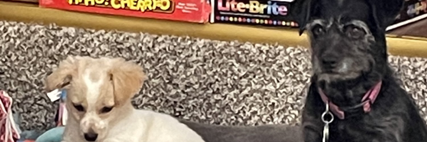 kickjaa65's profile banner image