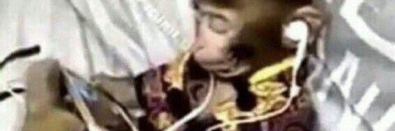 ss_aaron19's profile banner image