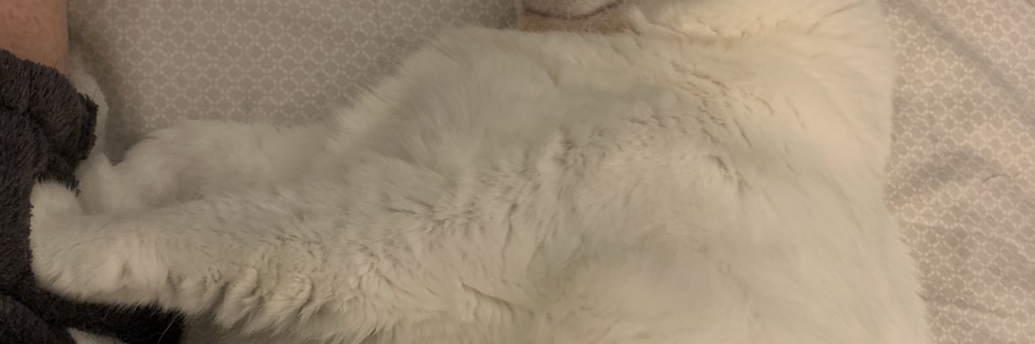 frvrmama's profile banner image