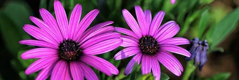 mihison63's profile banner image