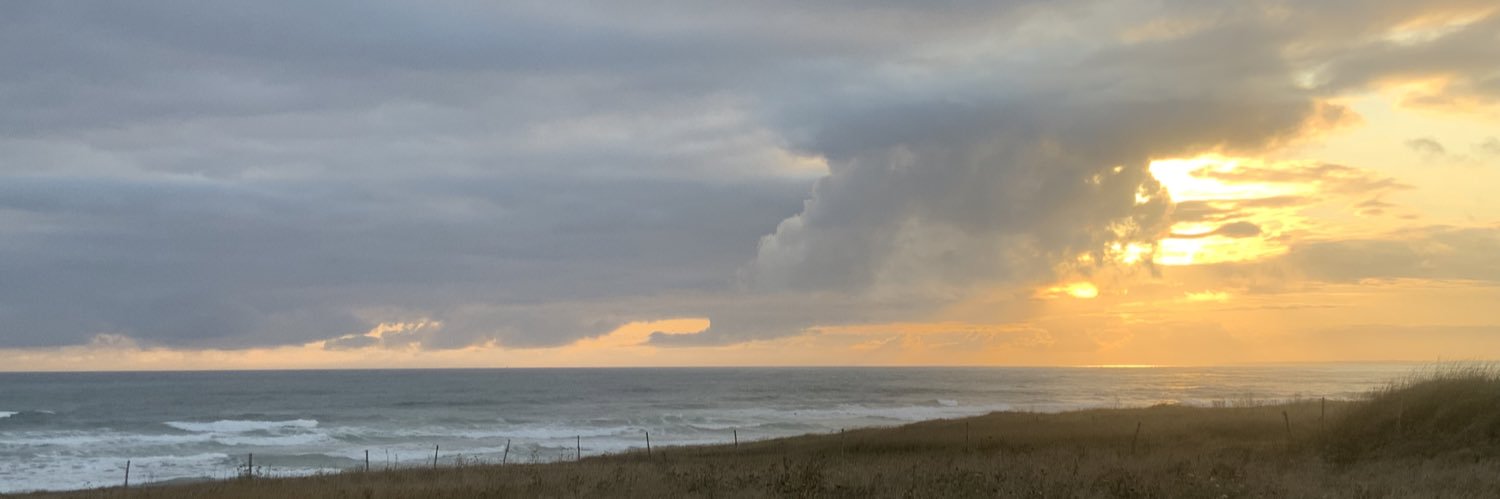 Carmela Calés banner