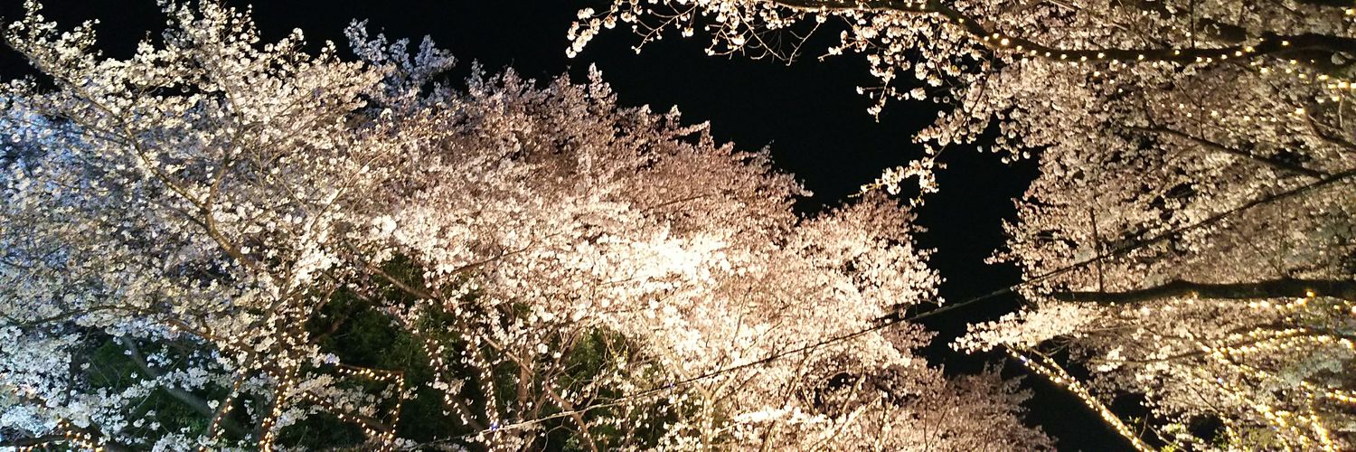 senang_2's profile banner image