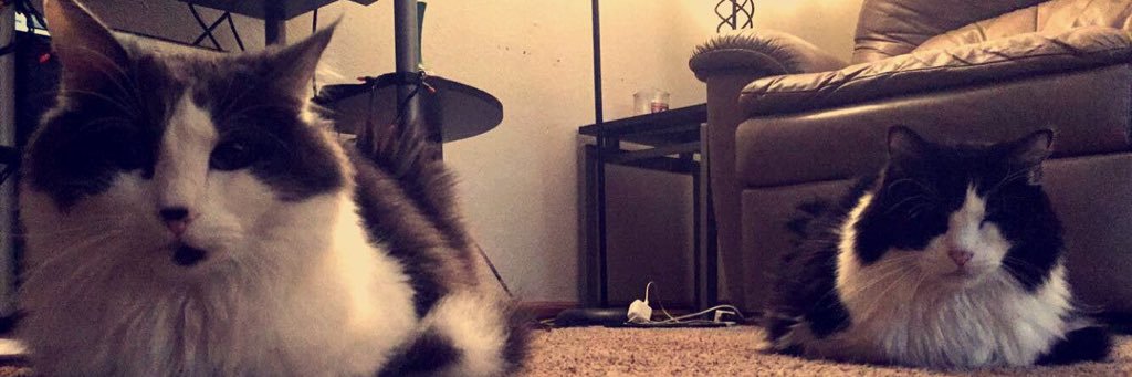 gracesparks_'s profile banner image