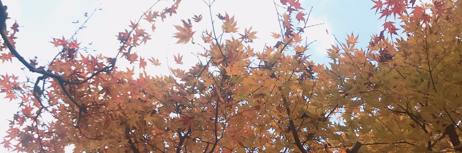 ごりびす☻ banner