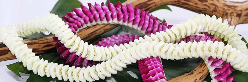 PacificLeis's profile banner image