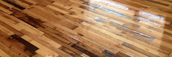 Tiny Homes Canada banner