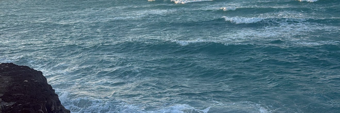 planet chas💚 banner