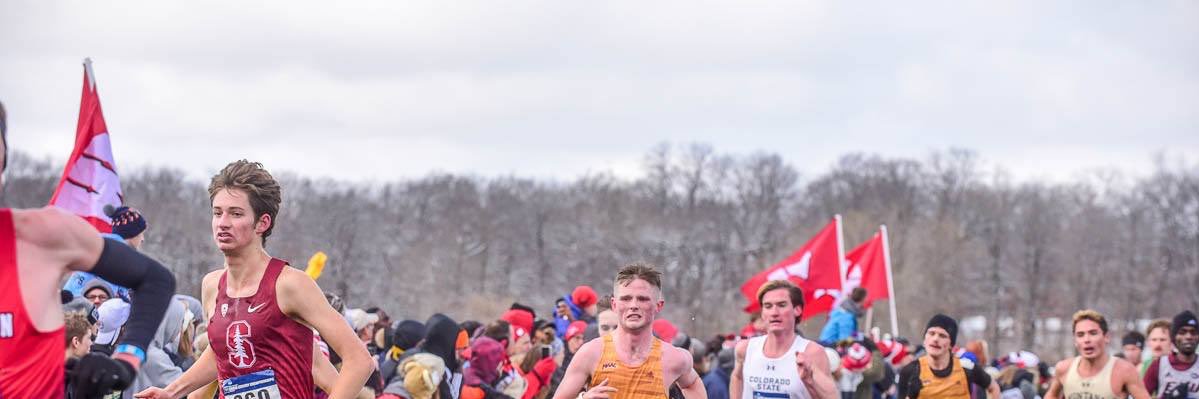 michaelvernau's profile banner image