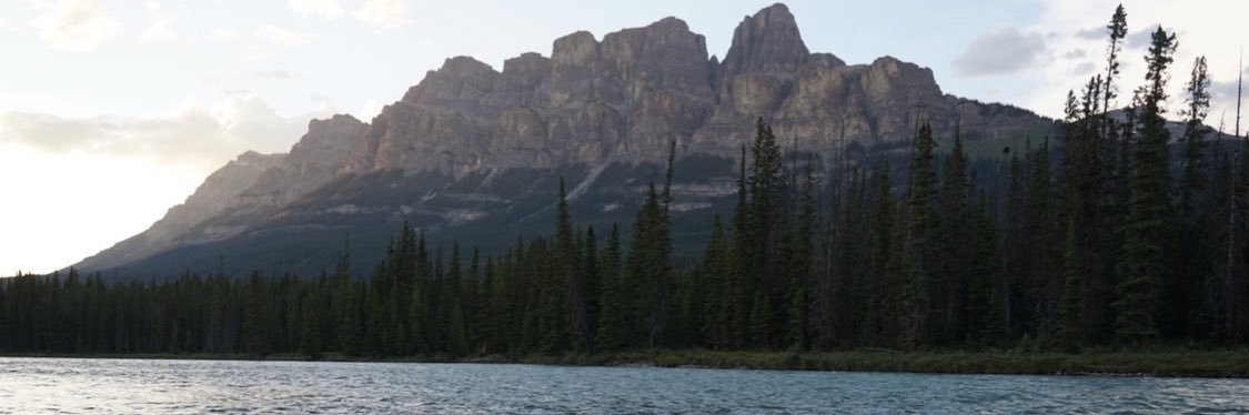 chiverdiver's profile banner image