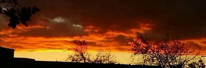RoseVicenta's profile banner image