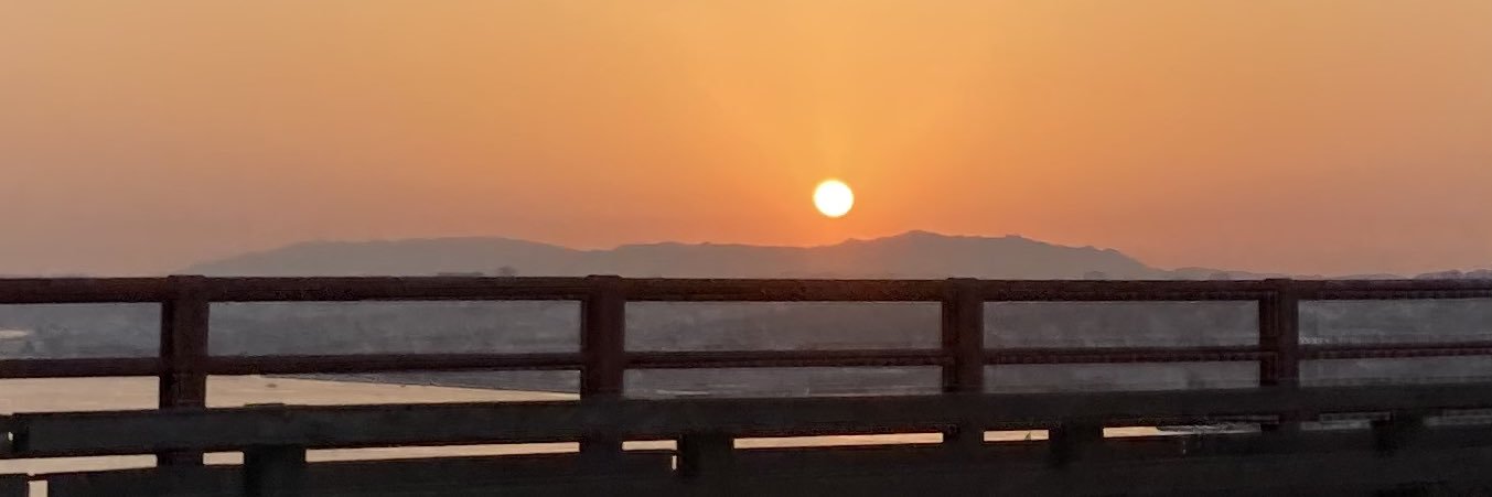 InesACravo's profile banner image