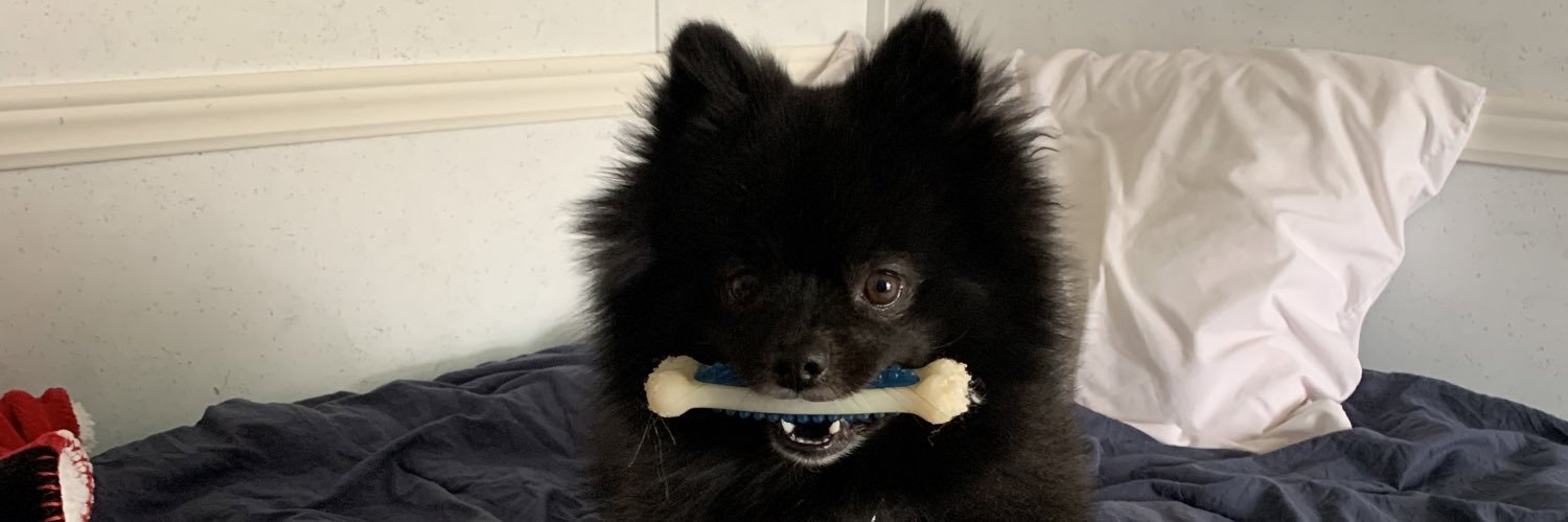 BaileyTorixBT's profile banner image