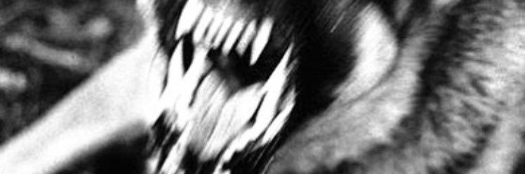 vampirerats's profile banner image