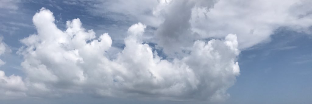 Mona Al-Meligi banner