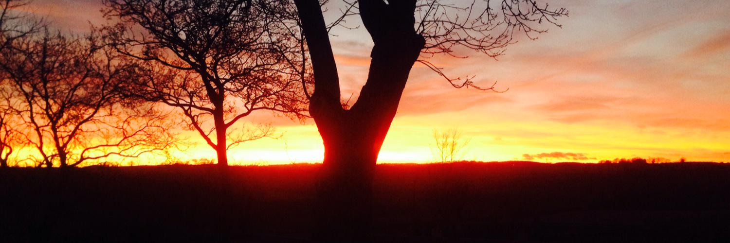 janemitchellOT's profile banner image