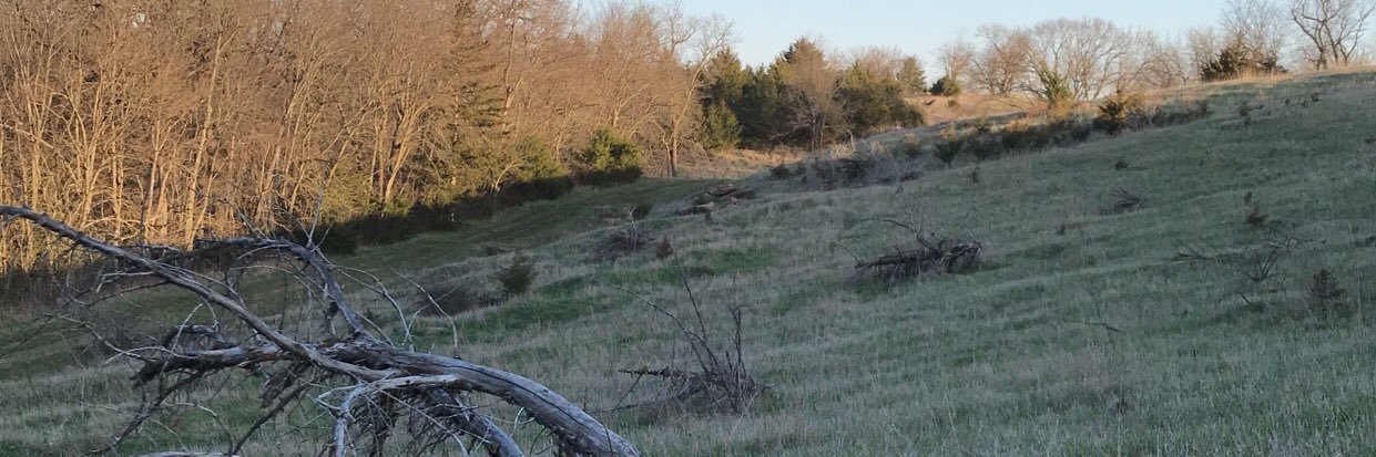 Seth Harrell banner