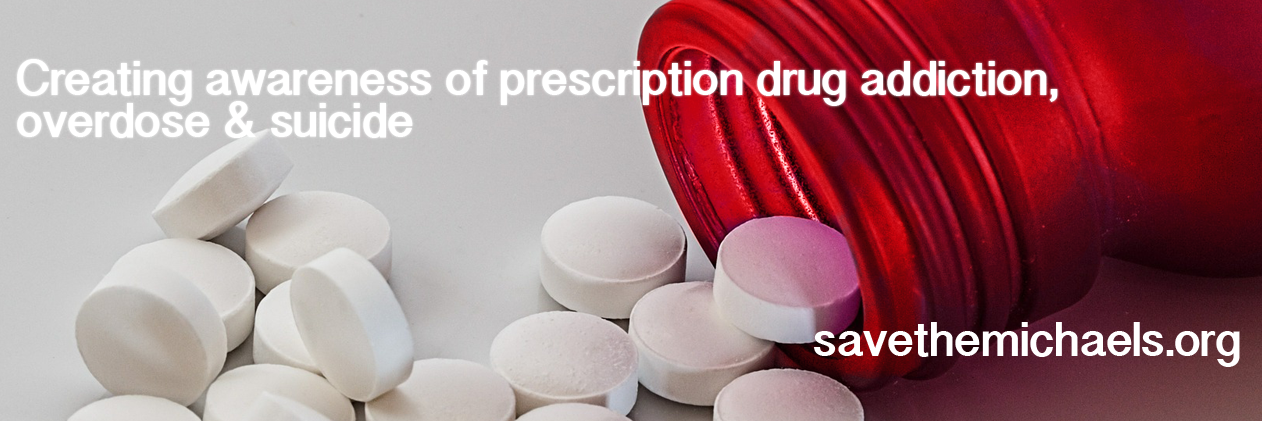 savethemichaelsinc banner
