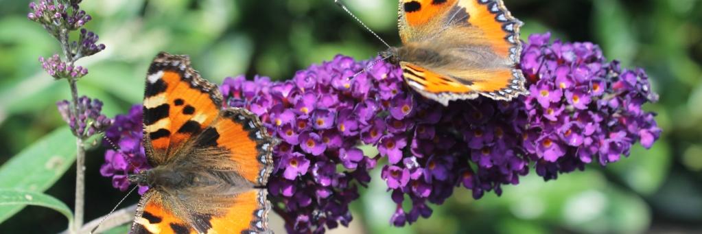 NatuurTextiel's profile banner image