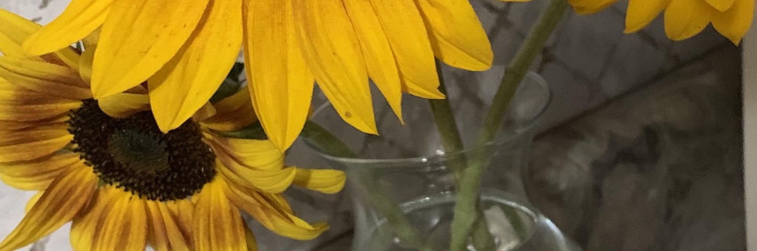 HeatherDAitken's profile banner image