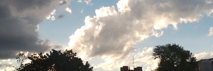 juuli_z's profile banner image