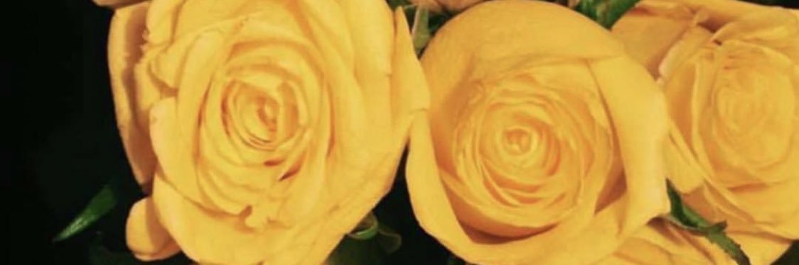 i_uiljc's profile banner image