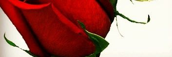 said_saker's profile banner image