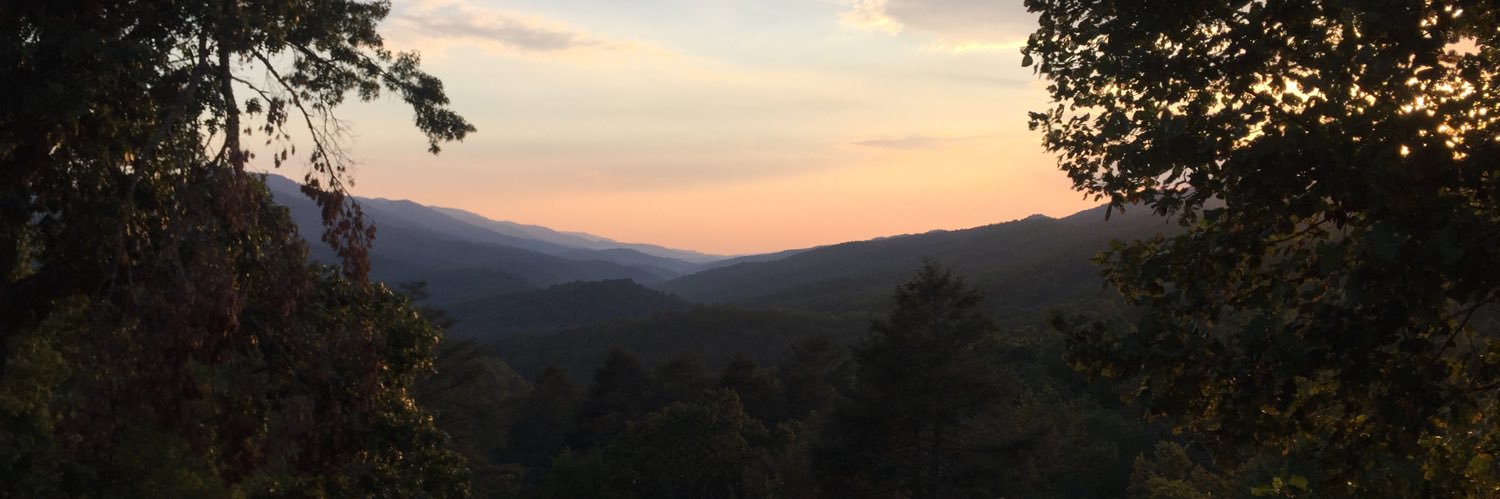 Deborah Yetter banner