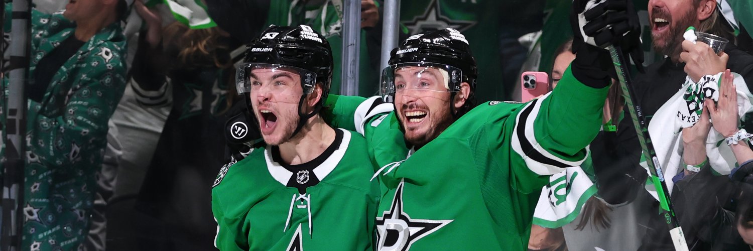 Dallas Stars's banner