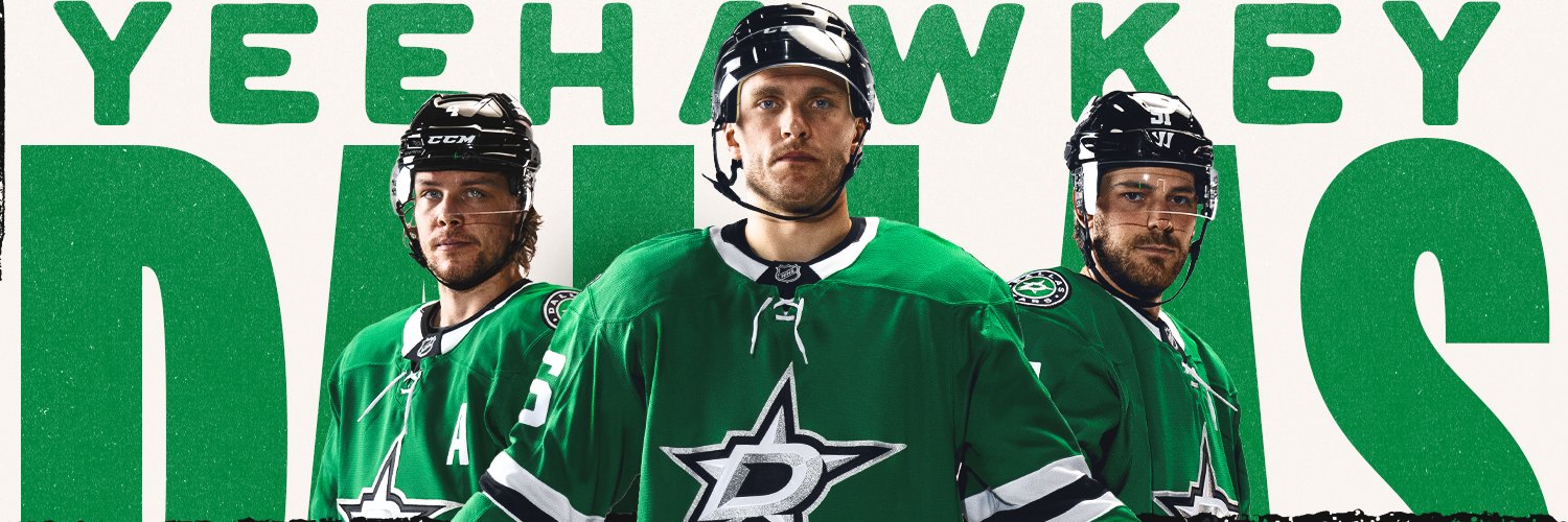 Dallas Stars banner