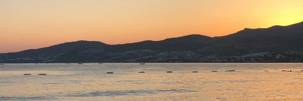 pelinsnar's profile banner image