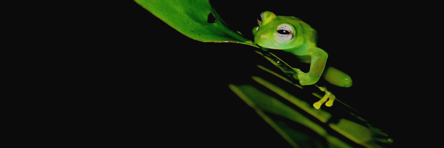 Javierblar's profile banner image