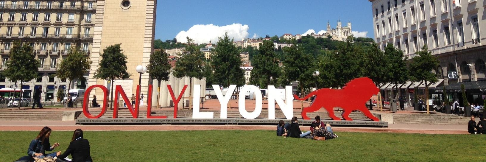 Virginie Carton banner