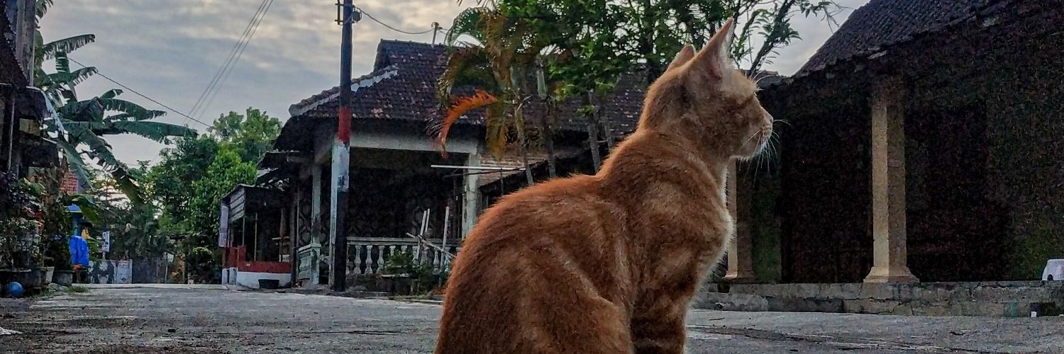 PipinAdna's profile banner image