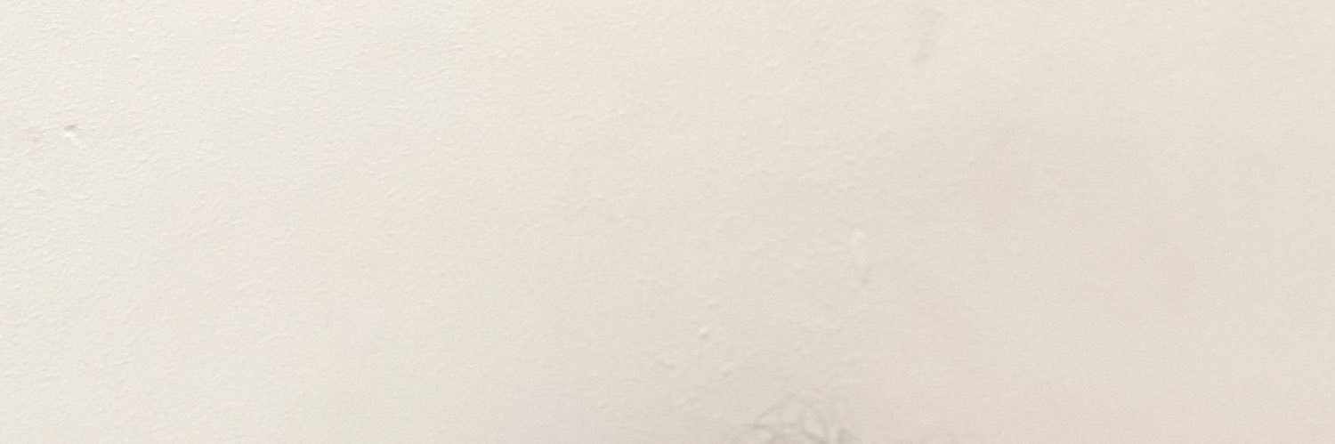 bribeeiroo's profile banner image