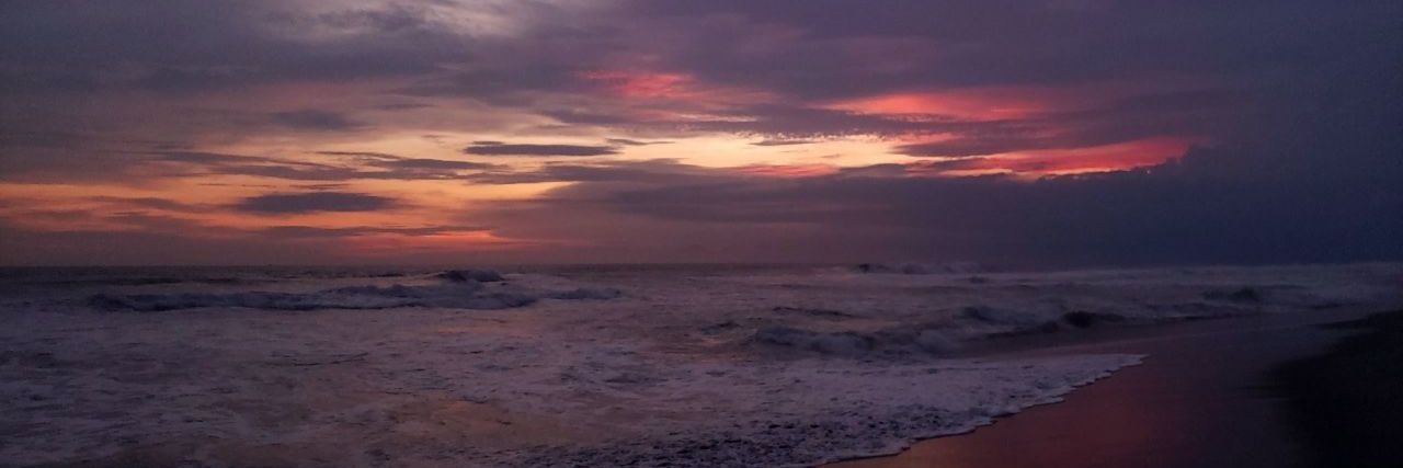Sarita_floresc's profile banner image