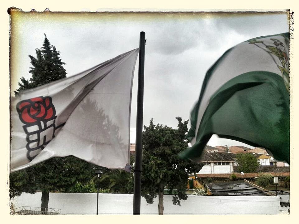 CastellarPsoe's profile banner image