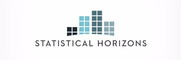 Statistical Horizons's banner