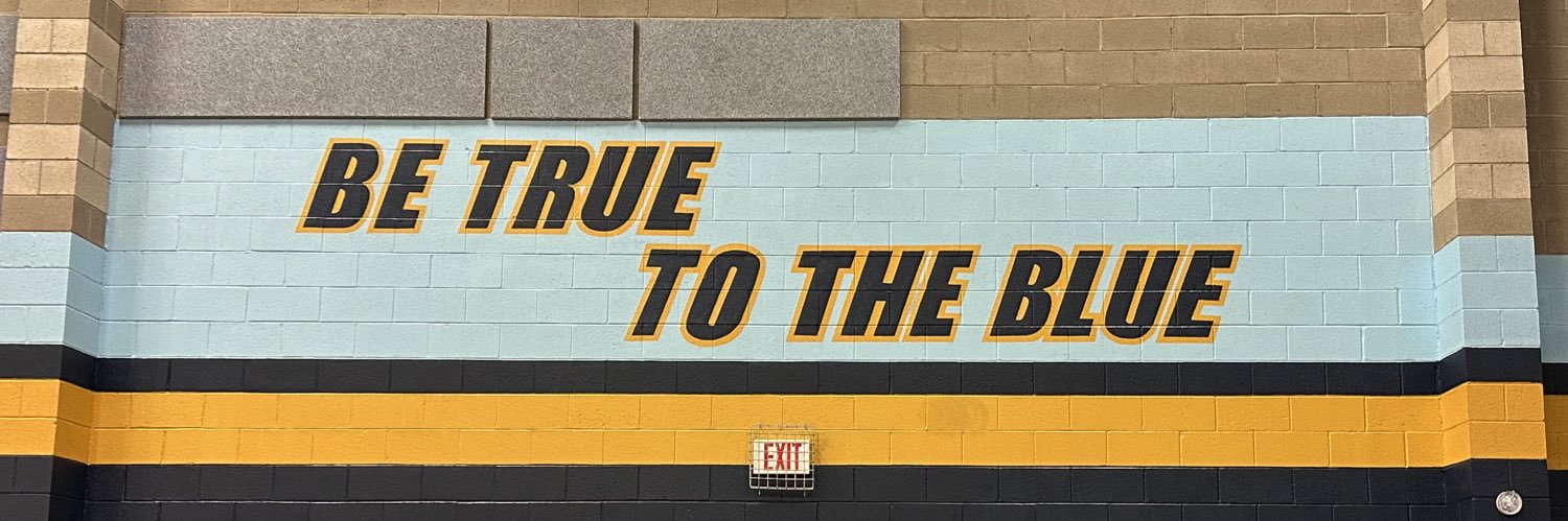 Foothill Falcons Basketball (NV) banner