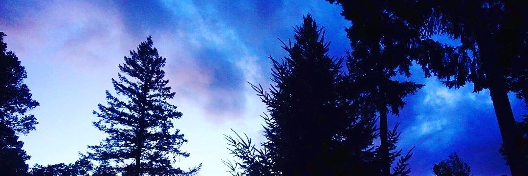 Elena_vicent's profile banner image