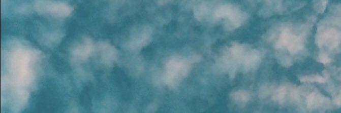 larisssamello's profile banner image