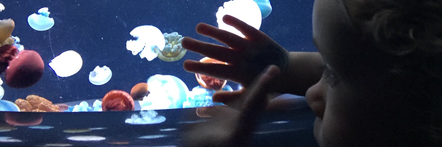 Christine Sweigart banner