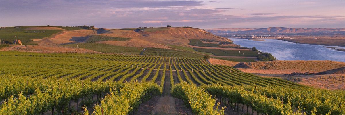 Rep. Dan Newhouse banner