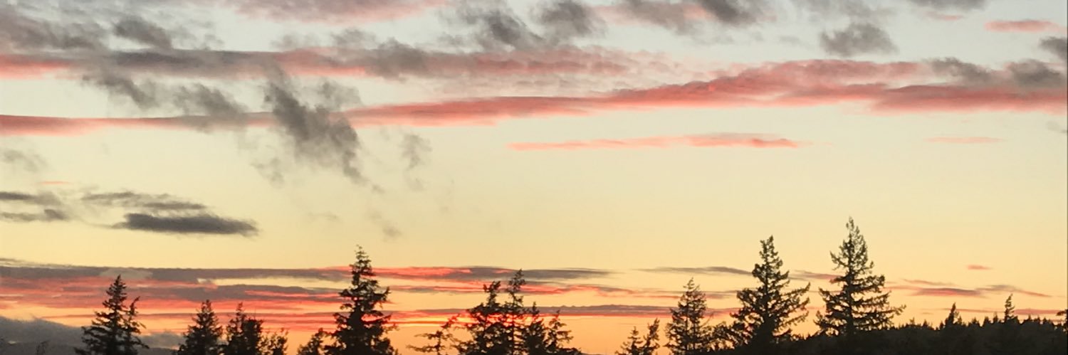 marianexall's profile banner image