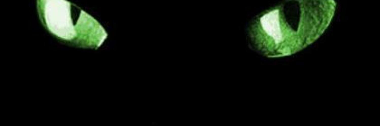 serkanierol's profile banner image