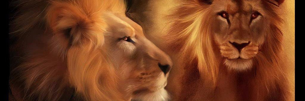 hetpatel2811's profile banner image